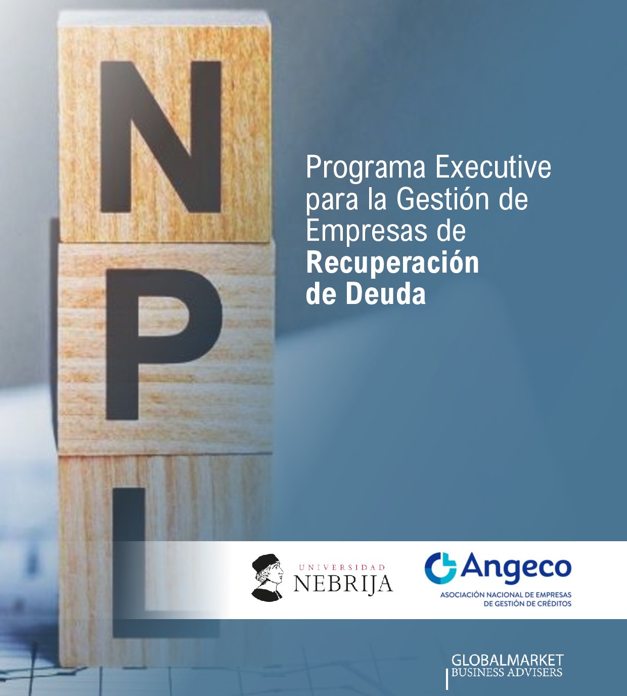 Programa Executive específico para profesionales y empresas del sector